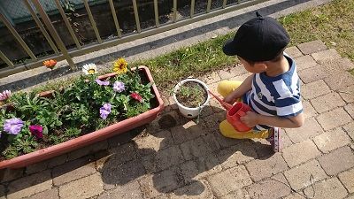 f:id:for-mom:20190515104159j:plain