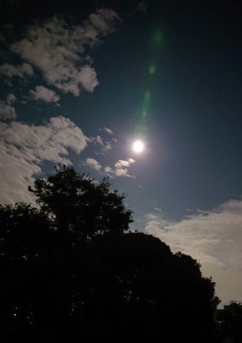 f:id:for-mom:20190917094341j:plain f:id:for-mom:20190917094341j:plain