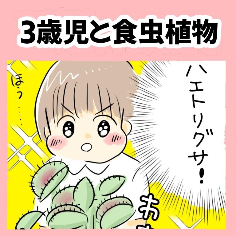 花屋に並ぶ食虫植物に夢中の３歳息子。動画を見せたら・・あれ？好きなんじゃないの！？｜ホッターの子育て絵日記