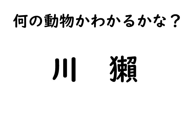 【想像してください】あ、もしかして・・なんだか読めそうな動物漢字クイズ！あなたも挑戦してみてください！