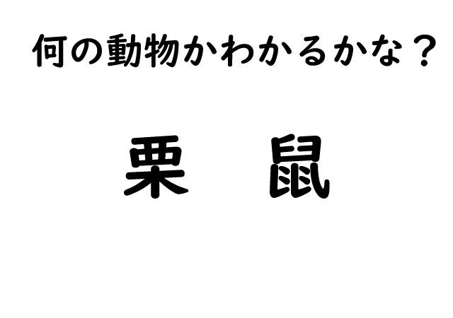 【動物漢字クイズ！】あ、もしかしたら・・漢字の意味から想像したら読めるかも！？あなたも挑戦してみてください！