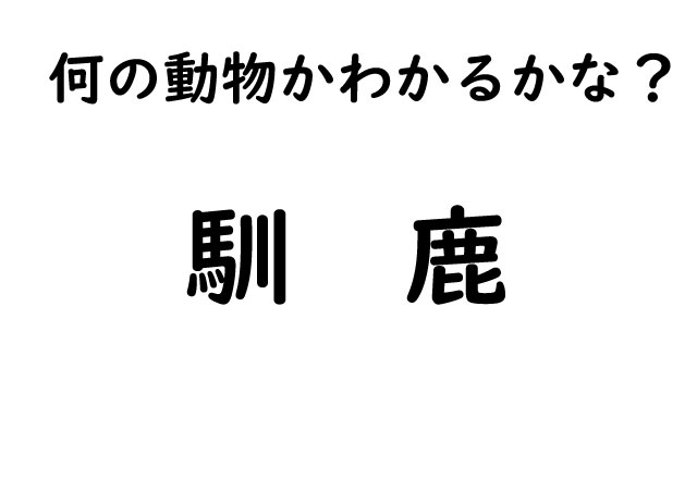 【読めますか！】難問！動物漢字クイズ！期間限定で毎年話題になる人気者！この漢字・・あなたはわかりますか？