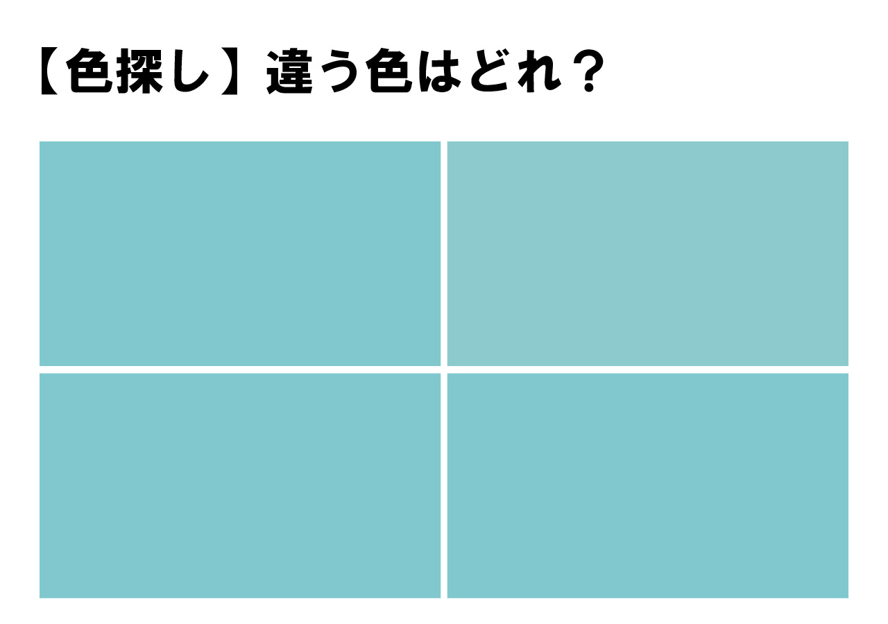 【色探ししませんか？】クイズに挑戦！見つけてみて！４色の中に１色だけ違う色が隠れてます！