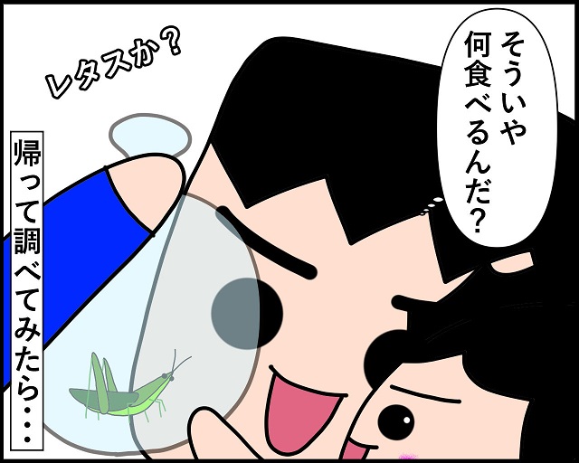 ねこじゃらし最強説 これさえあれば子どももバッタも大喜び みーぱぱ子育て漫画 ママ広場 Mamahiroba 小学生 園児ママの悩みの解決の糸口に
